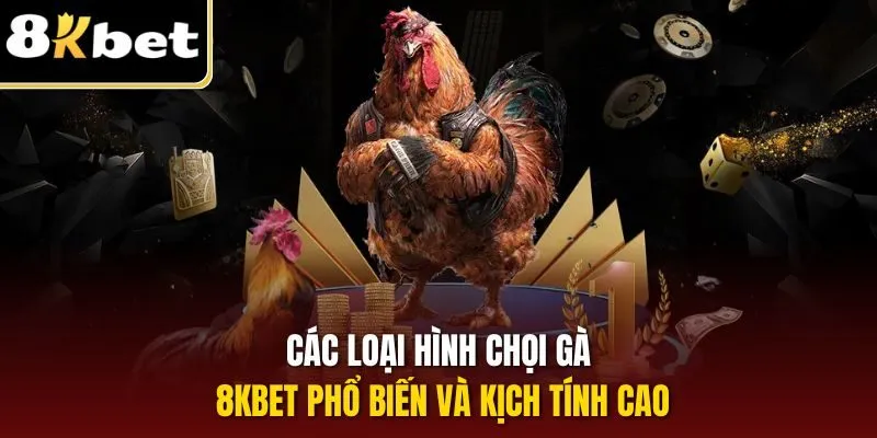 Đá Gà 8KBET | Sân Chơi Nóng Bỏng Dành Cho Sư Kê Thách Đấu 2 Các loại hình chọi gà 8KBET phổ biến và kịch tính cao