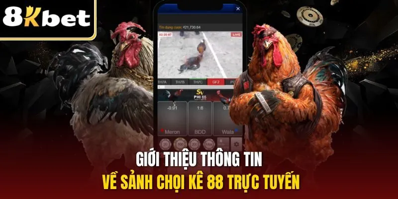 Đá Gà 88 - Đối Tác Cá Cược Trực Tuyến Chiến Lược Của 8KBET 1 Giới thiệu thông tin về sảnh chọi kê 88 trực tuyến