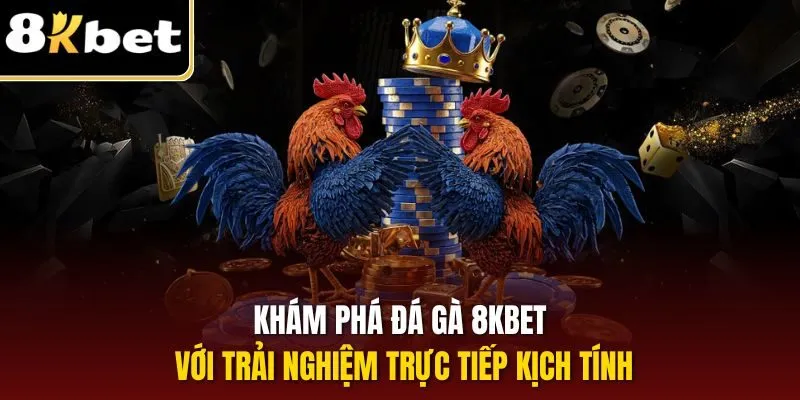 Đá Gà 8KBET | Sân Chơi Nóng Bỏng Dành Cho Sư Kê Thách Đấu 1 Khám phá đá gà 8KBET với trải nghiệm trực tiếp kịch tính