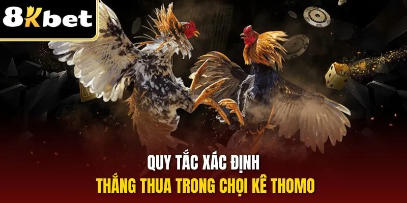 Đá Gà Thomo | Hình Thức Chọi Kê Đặc Sắc Hàng Đầu 8KBET 2 Quy tắc xác định thắng thua trong chọi kê Thomo
