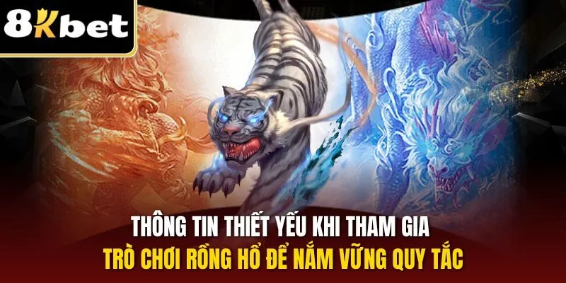Thông tin thiết yếu khi tham gia trò chơi Rồng Hổ để nắm vững quy tắc